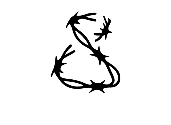 Sharp Barbed Security Wire Mono 8: A Design Review for Real Embroidery Projects