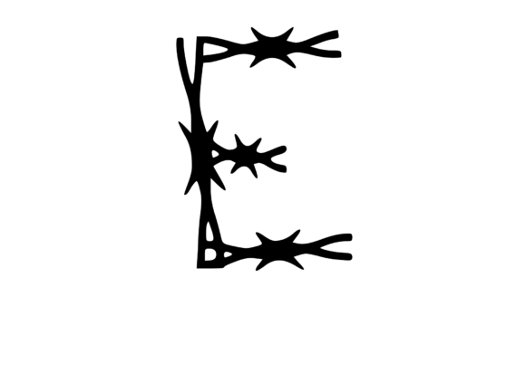 Sharp Barbed Security Wire Mono E